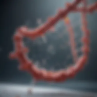 Illustration of RNA Extraction Techniques RNA extraction techniques illustrated