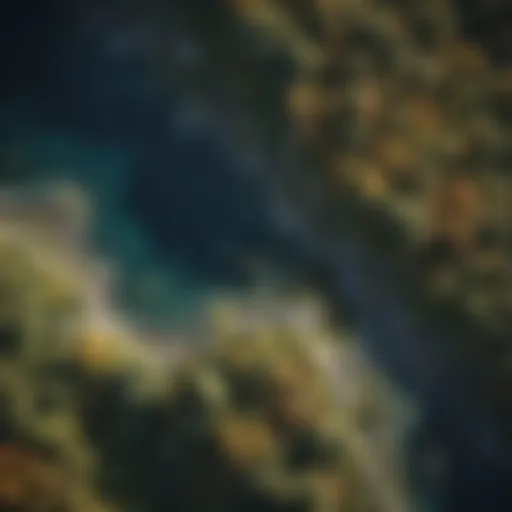 Aerial view of a diverse landscape showcasing varying ecosystems