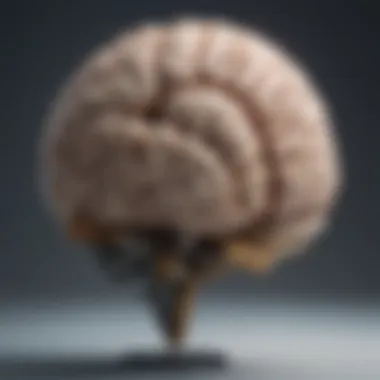 The Role of the Right Hemisphere in Creativity Artistic interpretation of creativity as a function of the right hemisphere.
