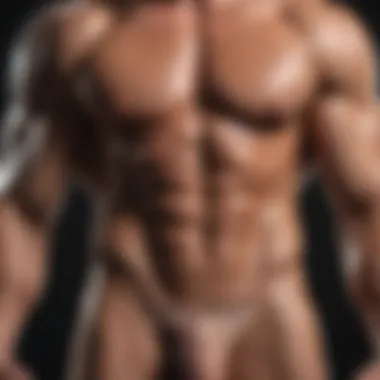 Muscle Definition Variations Explained Visualization of muscle definition variations