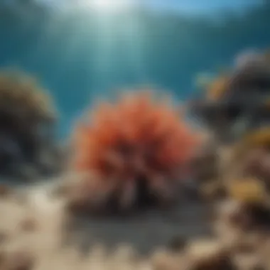 Impact on Marine Life Marine life affected by changes in ocean temperature and chemistry