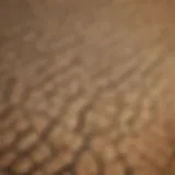 Aerial view of a drought-affected farmland showcasing cracked soil and withering crops.