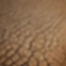 Aerial view of a drought-affected farmland showcasing cracked soil and withering crops.
