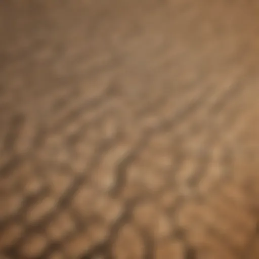 Aerial view of a drought-affected farmland showcasing cracked soil and withering crops.