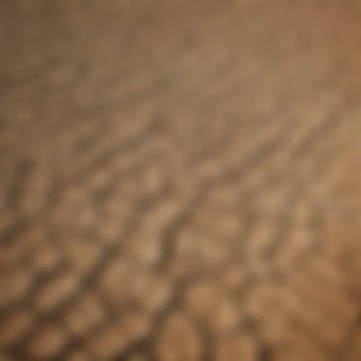 Aerial view of a drought-affected farmland showcasing cracked soil and withering crops.
