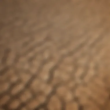 Drought Effects on Agriculture Aerial view of a drought-affected farmland showcasing cracked soil and withering crops.