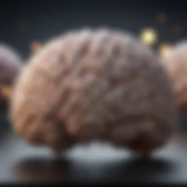 Brain Activity and Memory Tasks Brain activity during memory tasks affected by MS