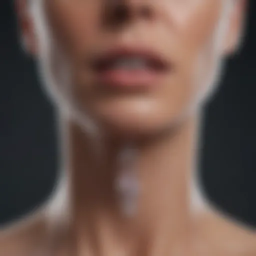 Thyroid gland and its role in hormonal regulation
