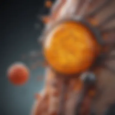 Biological Mechanisms of Vitamin D in Melanoma Diagram showing the biological mechanisms of vitamin D in melanoma