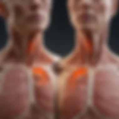 Illustration representing the pathophysiology of COPD and osteoporosis