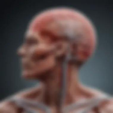 Conceptual illustration of inflammation affecting the nervous system