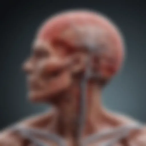 Conceptual illustration of inflammation affecting the nervous system