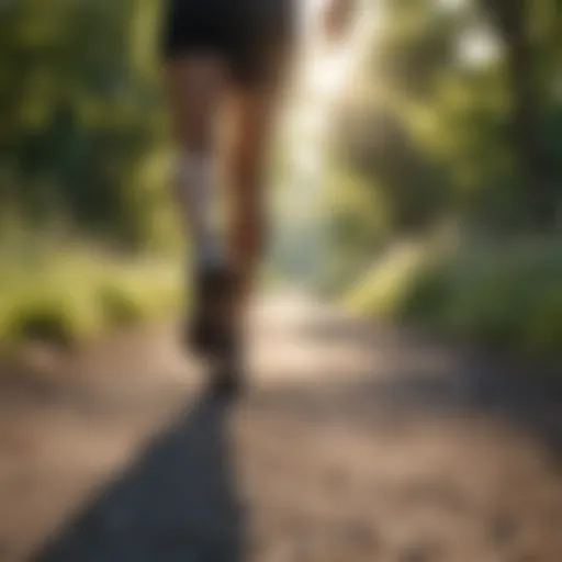 A serene running path in a natural setting