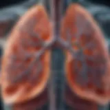 Illustration of lungs demonstrating the effects of COPD