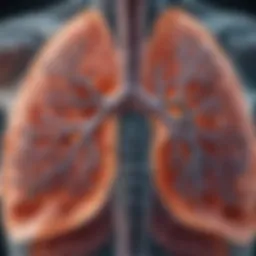Illustration of lungs demonstrating the effects of COPD