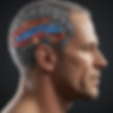 Diagram illustrating the neuroprotective effects of ketone metabolism.