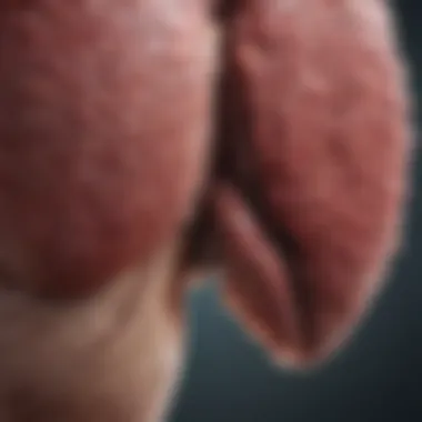 Traditional vs Modern Perspectives on Liver Function Traditional vs modern perspectives on liver function