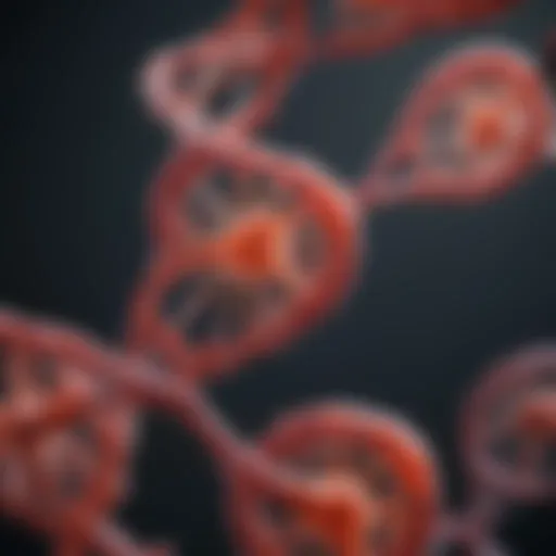 Molecular structure of RNA