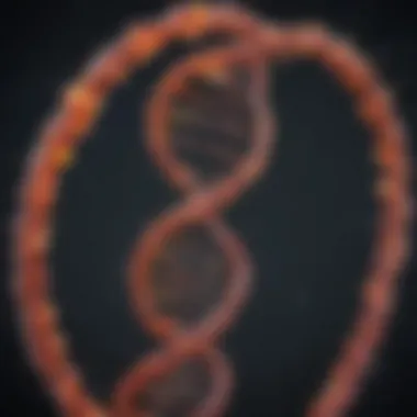 RNA and Its Diagnostic Applications Graphical representation of RNA applications in diagnostics