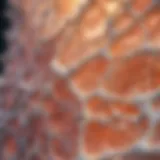 Schematic representation of collagen structure in bone