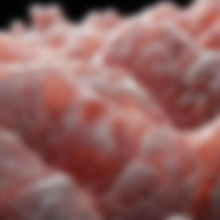 Diagram showcasing collagen supplementation effects