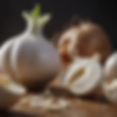 Garlic Extract in Clinical Practice Clinical setting showcasing garlic extract as a complementary treatment