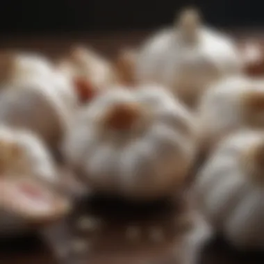 Diverse Responses to Garlic Extract Diverse populations and their responses to garlic extract