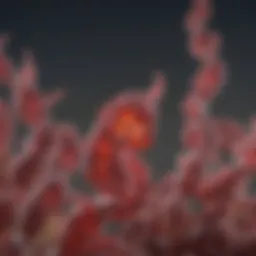 The Role of the ROS 1 Gene in Biology and Medicine Introduction
