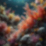 Colorful coral reef teeming with saltwater fish