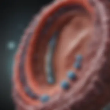 Diagram illustrating treatment options for colorectal cancer