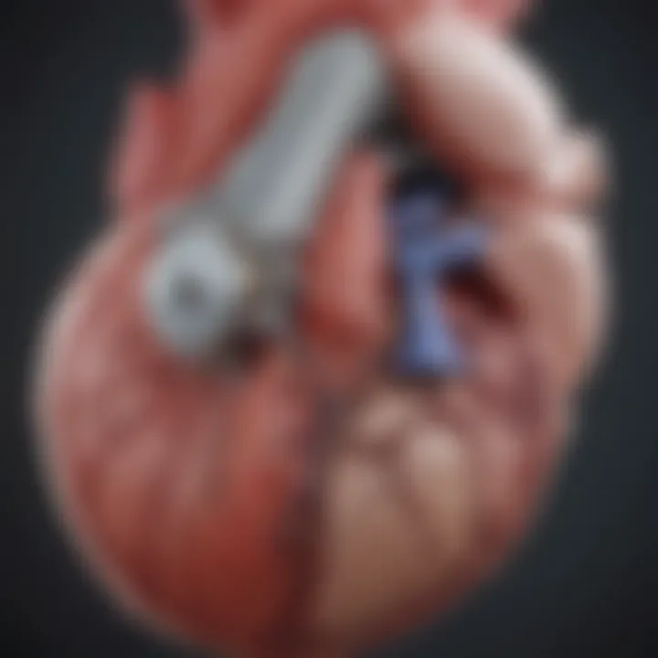 Diagram showing the functionality of an artificial tricuspid valve within the heart.