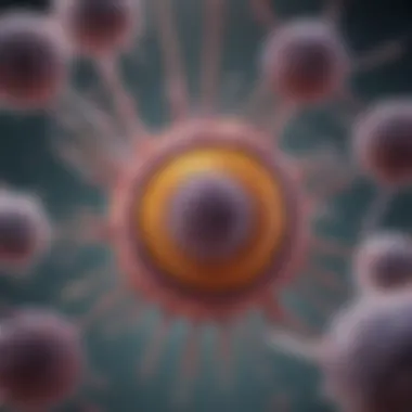 Mechanism of Tumour Infiltrating Lymphocytes Therapy Diagram illustrating the mechanism of TIL therapy