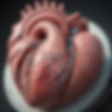 Clinical Significance of Atrial Dilation Clinical significance of atrial dilation in heart health