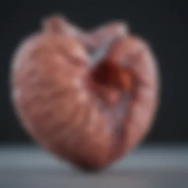 Diagnostic Approaches for Atrial Dilation Diagnostic approaches for assessing atrial dilation