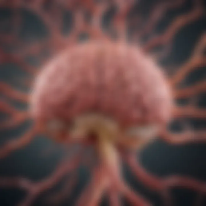 Diagram showing pathways related to cholesterol transport in the brain