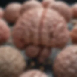 Illustration of various types of brain lesions