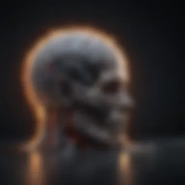 Neuroimaging Techniques Visualization of neuroimaging techniques