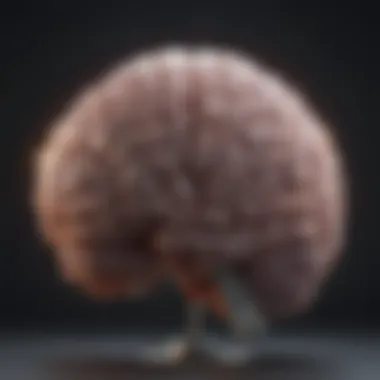 Brain Study Test Results Graph illustrating brain study test results