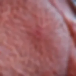 Microscopic view of benign breast tissue