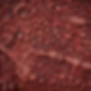 Blood Characteristics and Their Implications in Colon Cancer Chart showing implications of blood characteristics in disease