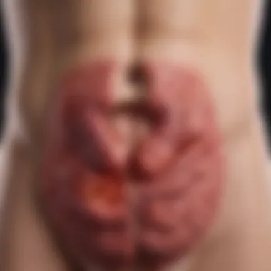 Causes of Colonic Bleeding Diagram showing various causes of colonic bleeding, including vascular and inflammatory factors