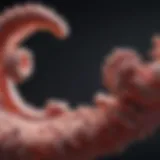 Visual representation of colorectal cancer stages