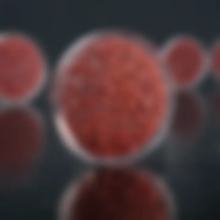 RBC Lysis Buffer in Cell Biology Research Cell biology application using RBC Lysis Buffer