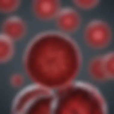 Utilization of RBC Lysis Buffer in Hematology Hematology research utilizing RBC Lysis Buffer