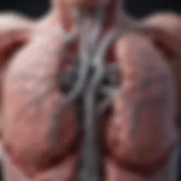 Diagram illustrating the mechanism of ectopic ventricular beats
