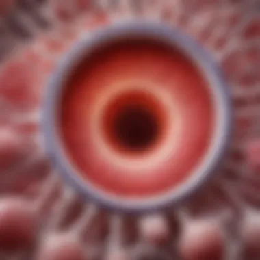 Epithelium's Role in Health and Disease Illustration depicting the role of epithelium in health and disease