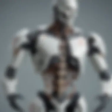 Applications of Exoskeletons in Medicine and Robotics Visual representation of exoskeleton applications in medicine and robotics