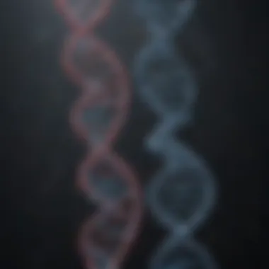 DNA Representation in Genetic Modification A visual representation of DNA strands showcasing genetic modification