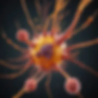 Diagram showing HPA lectin interaction with carbohydrates