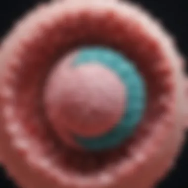Cervical Cancer Statistics and HPV Visual representation of cervical cancer statistics related to HPV